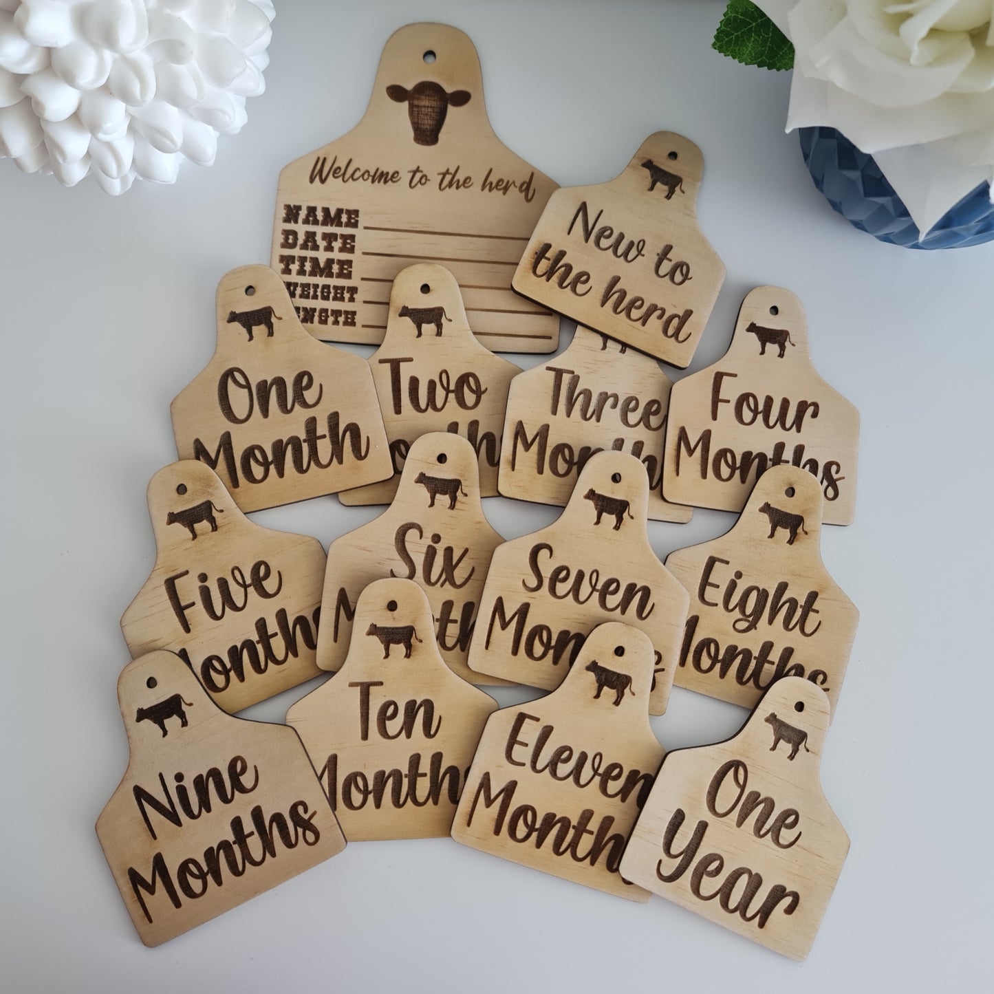 Baby Monthly Milestone Disc Set – Wooden or Acrylic Photo Prop