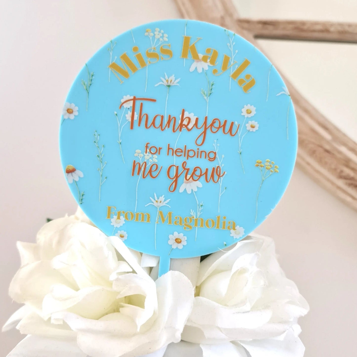 Personalised Teacher Planter Stick – Custom Gift for Pots & Plants Evermore Gifts & Favours