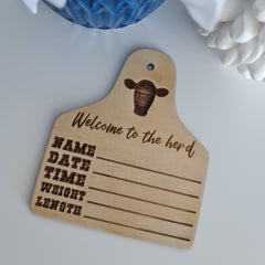 Baby Monthly Milestone Disc Set – Wooden or Acrylic Photo Prop