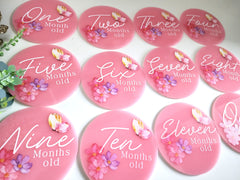 Custom Baby Monthly Milestone Plaques – Photo Memory Set