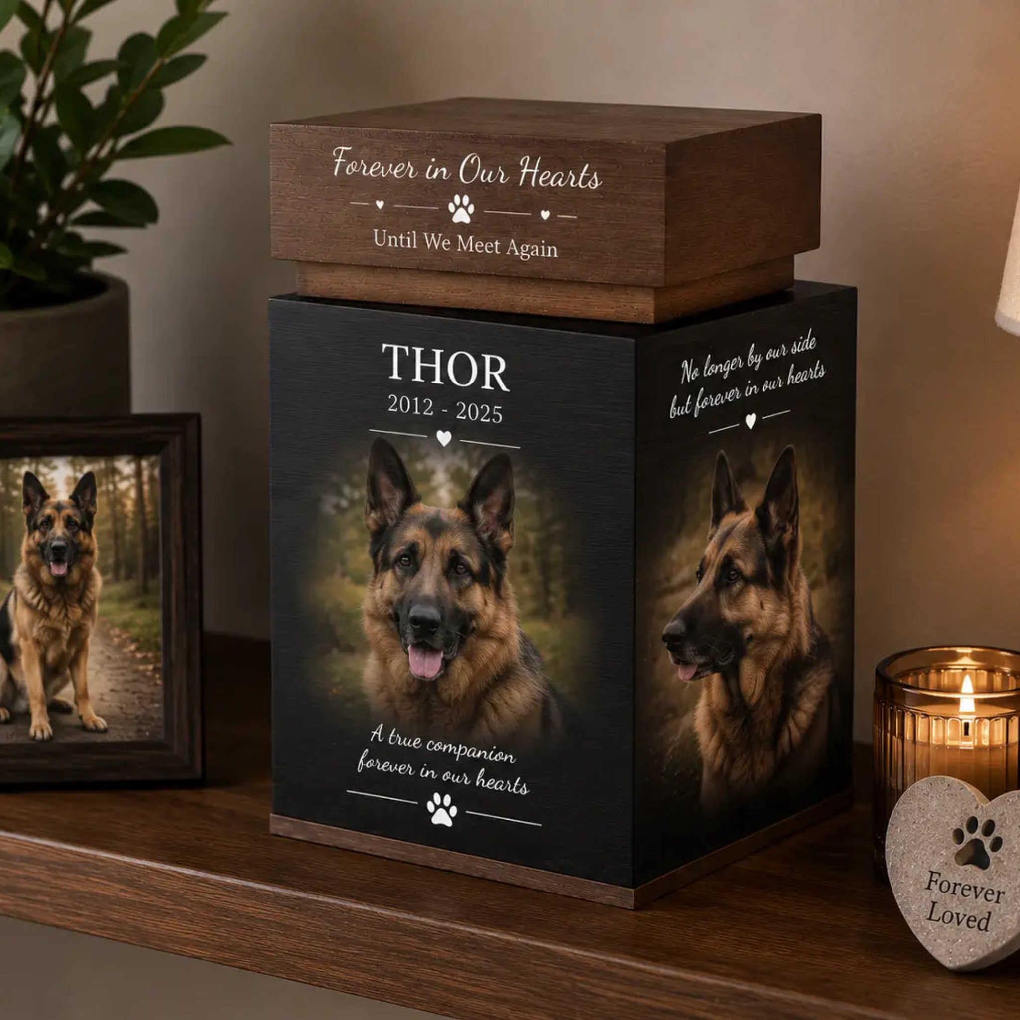 large pet ashes urn